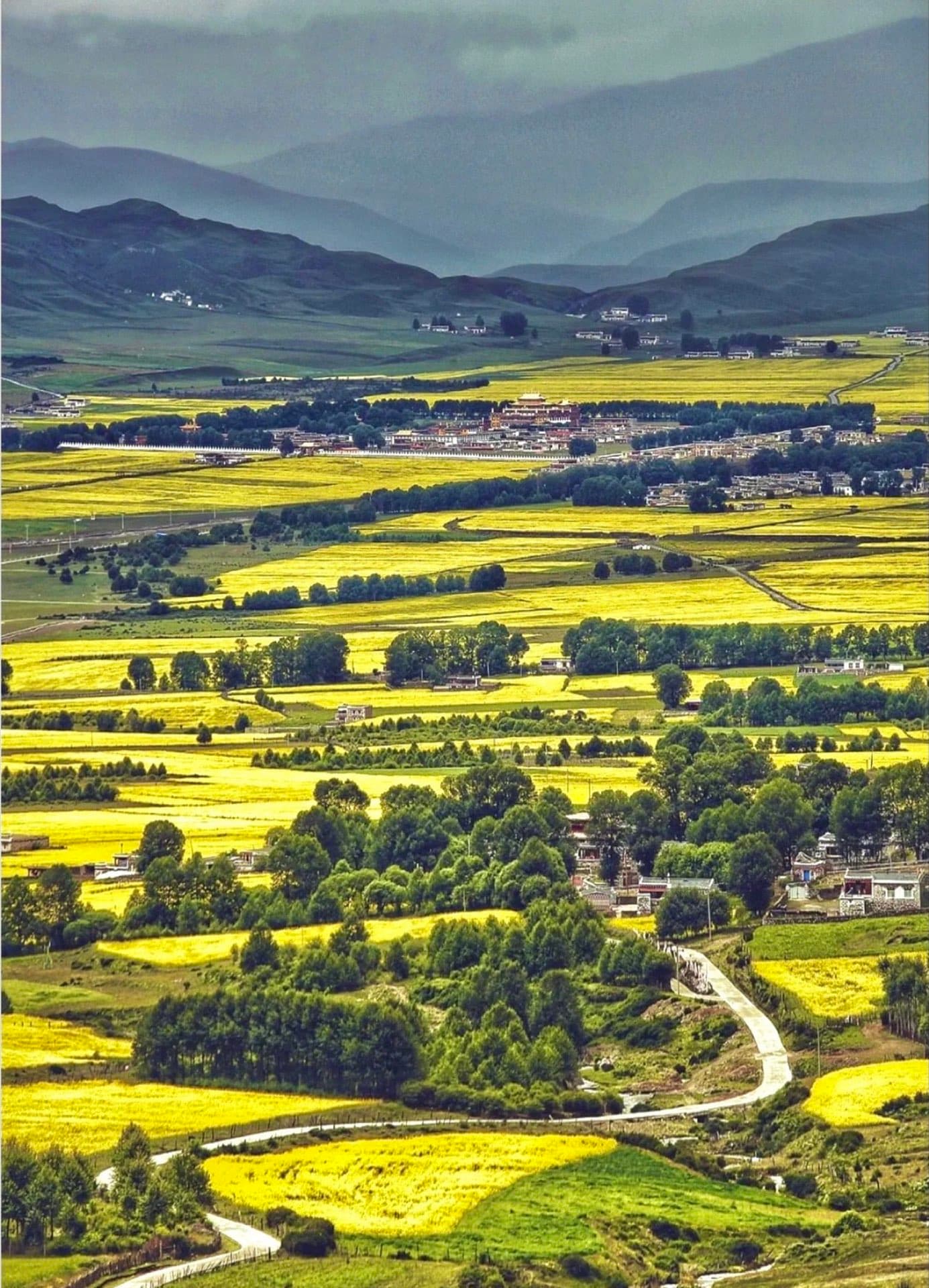 道孚高原风景